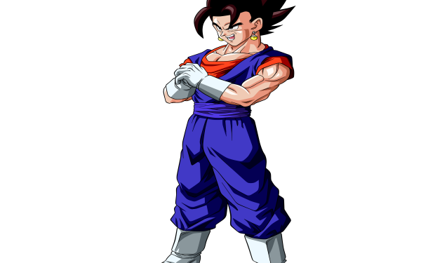 Anime Dragon Ball Z Dragon Ball Vegetto HD Wallpaper | Background Image