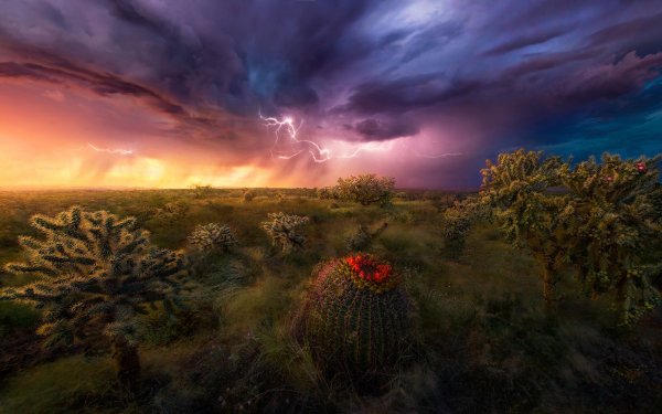 Nature Desert Sky Cloud Storm Lightning HD Wallpaper | Background Image