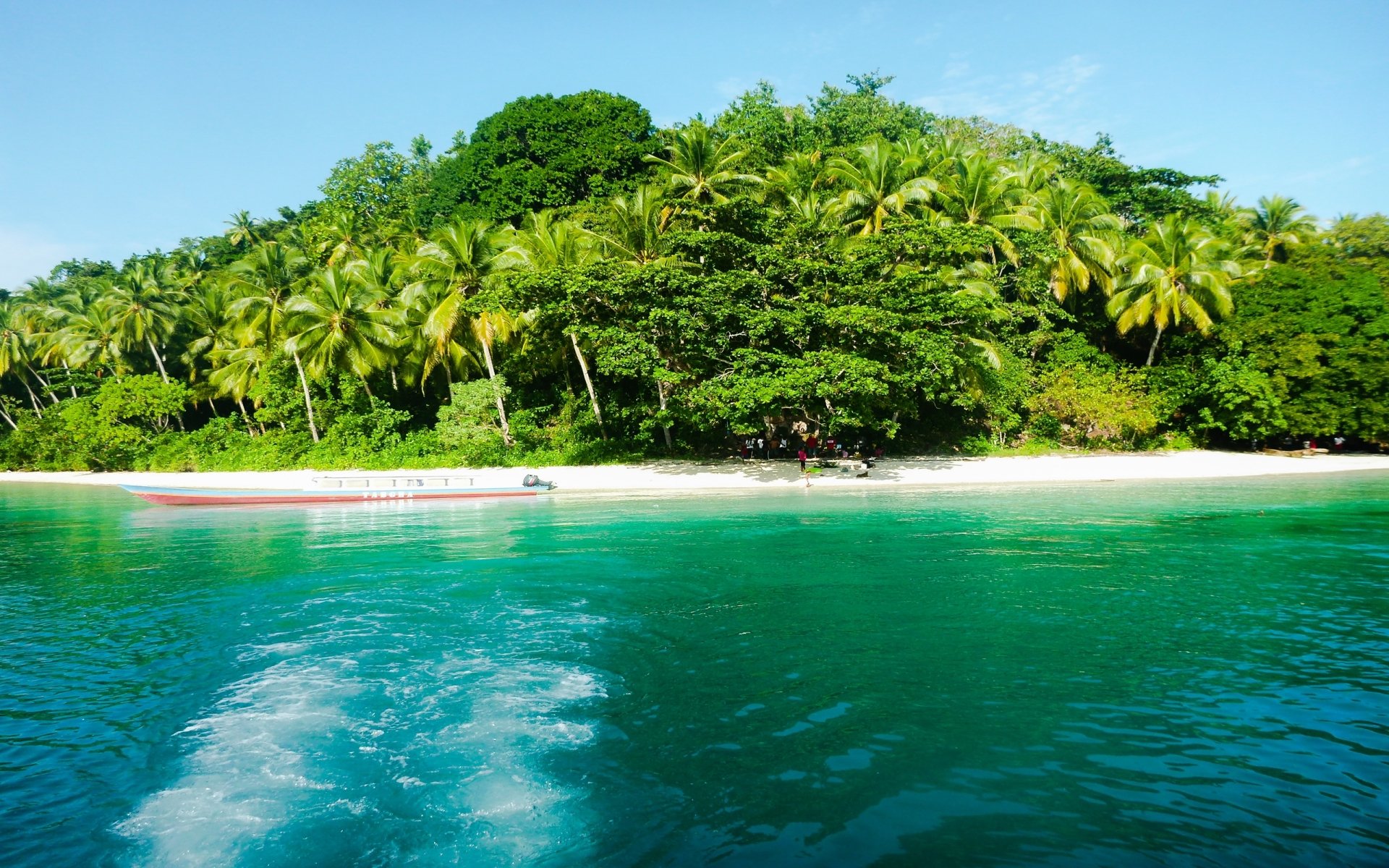 Freewen Beach In Raja Ampat Indonesia Hd Wallpaper Background Image 2560x1600 Id 677578