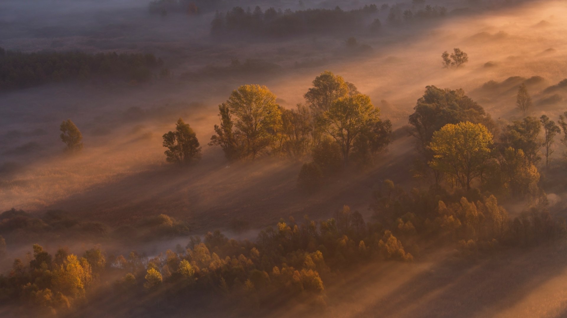 Download Nature Sunbeam HD Wallpaper