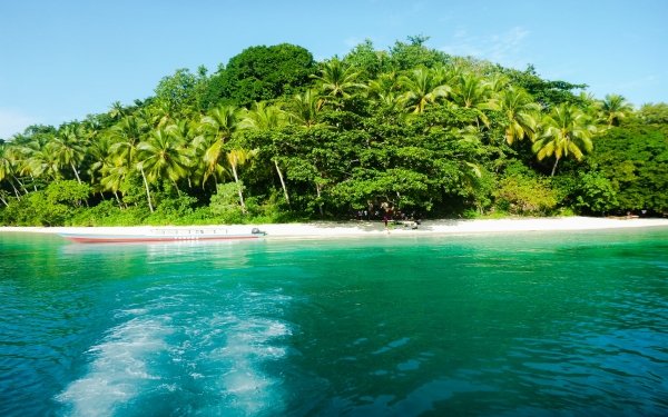 Fotografía Playa Tierra Isla Océano Raja Ampat Indonesia Tropico Palmera Turquesa Fondo de pantalla HD | Fondo de Escritorio