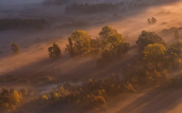 nature sunbeam HD Desktop Wallpaper | Background Image
