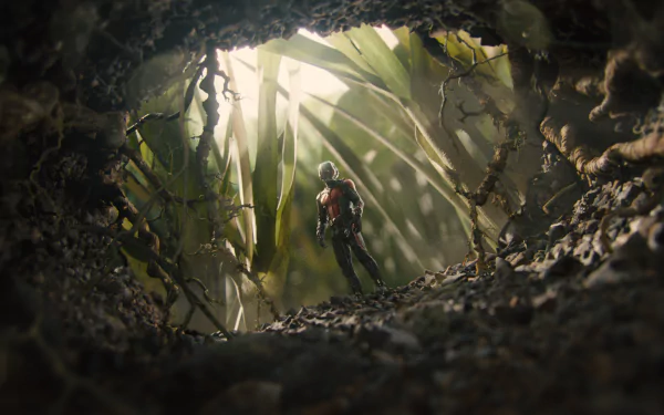 A captivating HD wallpaper from the movie Ant-Man, showing the character standing amid towering foliage, captured from a unique perspective that emphasizes the scale of the environment.