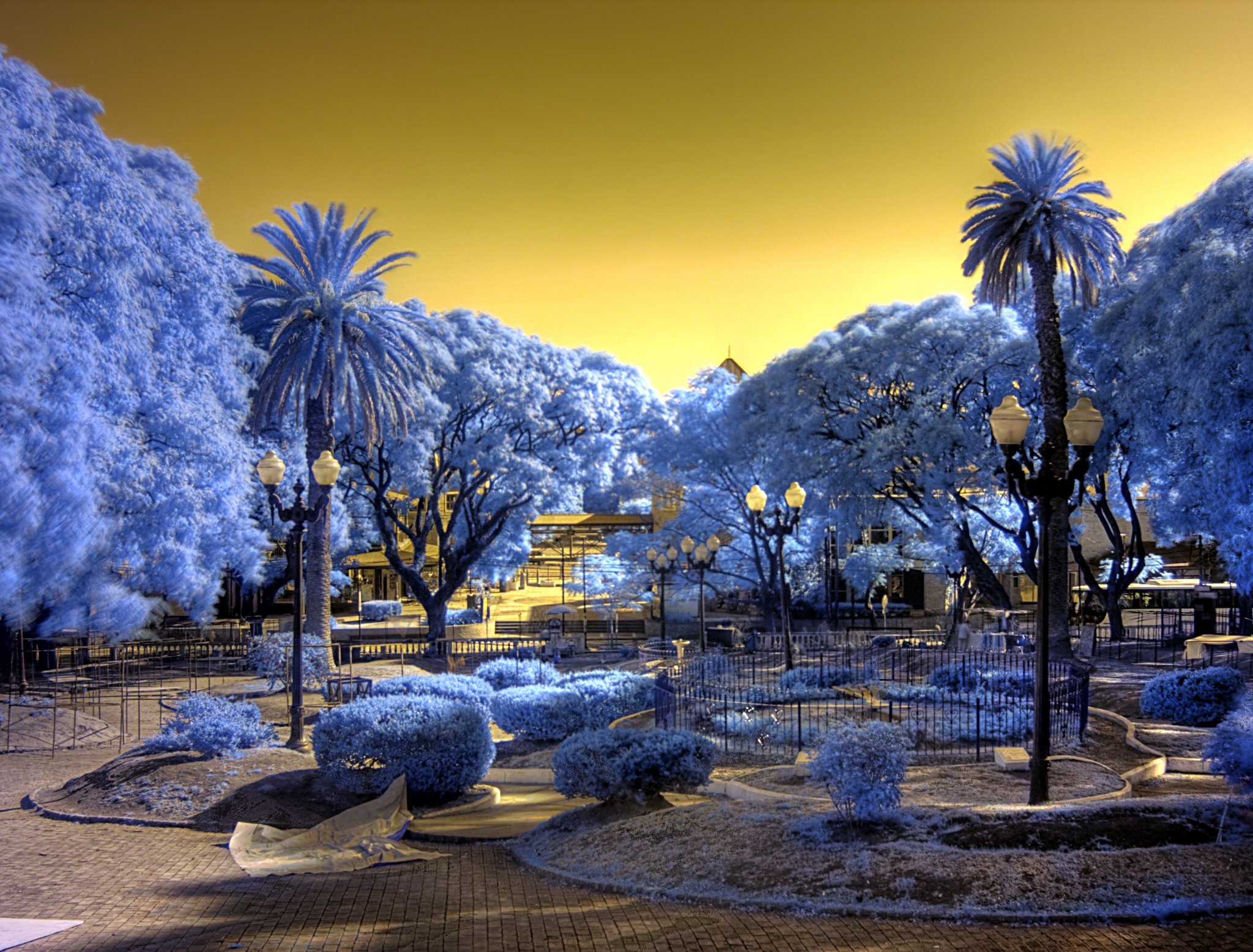 Infrared Photography city park