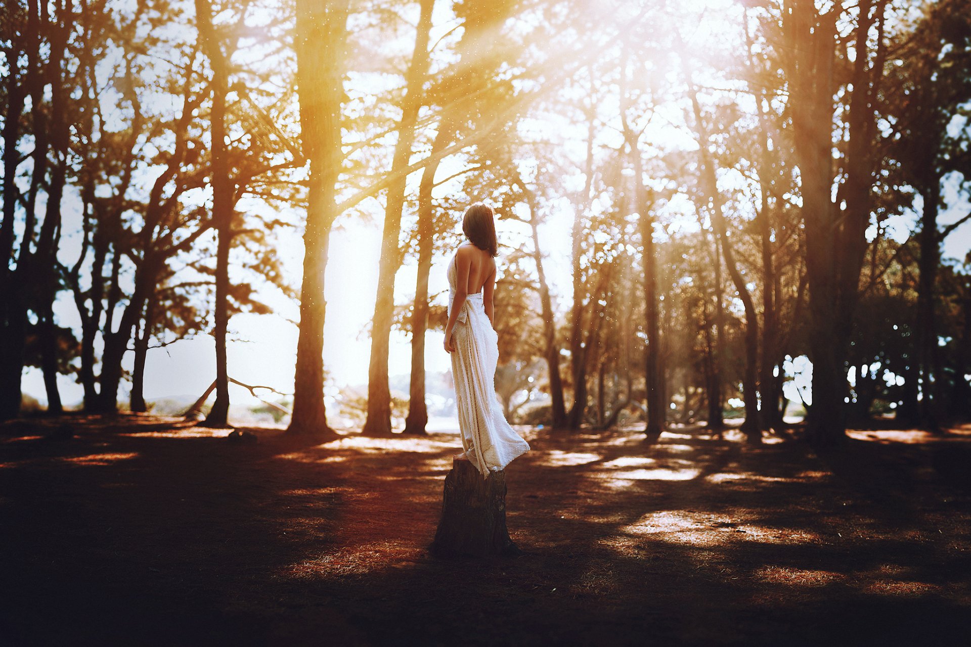 A woman in a flowing white dress stands with her back to the camera in a sunlit forest, creating a serene and warm mood, captured in an HD desktop wallpaper.