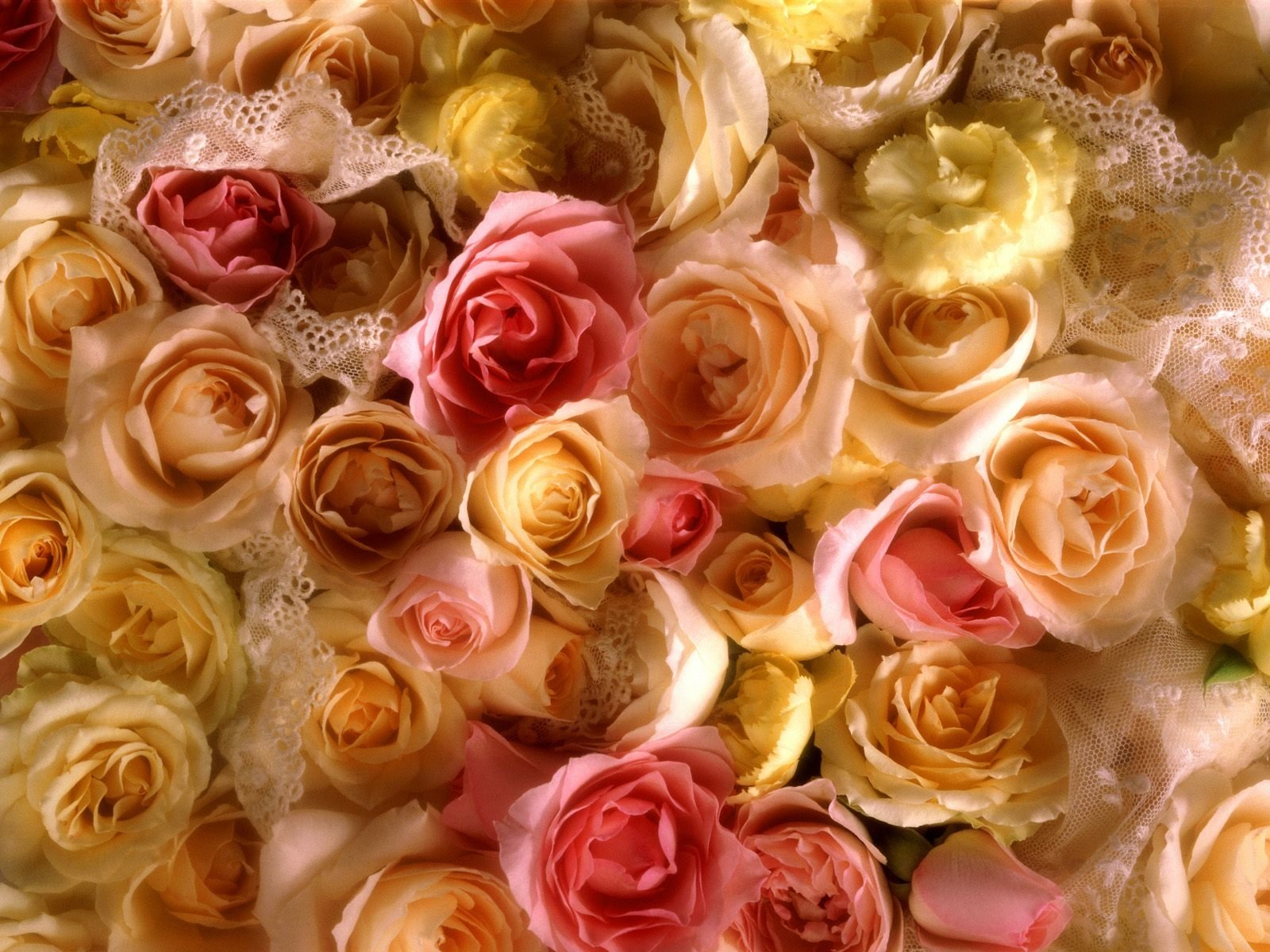Pastel Rose Bouquet — Close-Up HD Wallpaper | 1600x1200 | Wallpaper Abyss