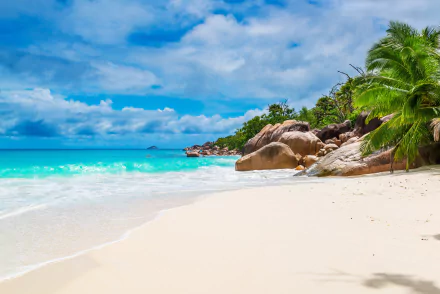 HD desktop wallpaper of a tropical beach in the Maldives or Seychelles with pristine white sand, turquoise ocean waves, lush palm trees, and a rocky coastline under a partly cloudy sky.