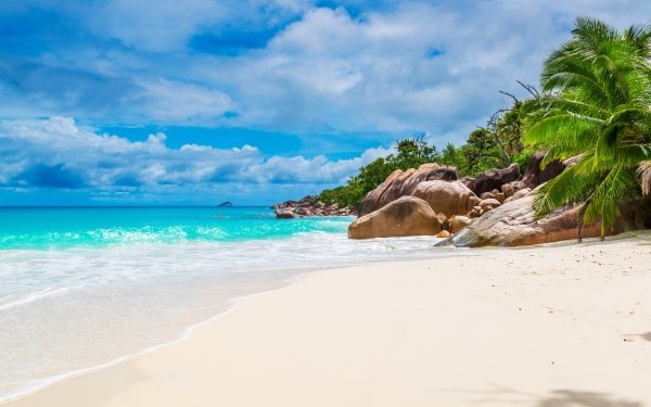 Tierra/Naturaleza Playa Coast Seychelles Maldives Tropico Rock Palmera Sand Océano Fondo de pantalla HD | Fondo de Escritorio