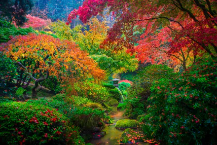 A vibrant Japanese garden in autumn, featuring colorful trees and lush greenery alongside a serene stream, creating a tranquil natural landscape.