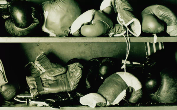 Vintage boxing gloves displayed on shelves, captured in a detailed 4K Ultra HD PC desktop wallpaper highlighting the sport's rich history and spirit.