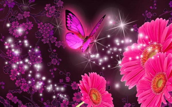 Artistic Flower Flowers Daisy Gerbera Butterfly Sparkles HD Wallpaper | Background Image