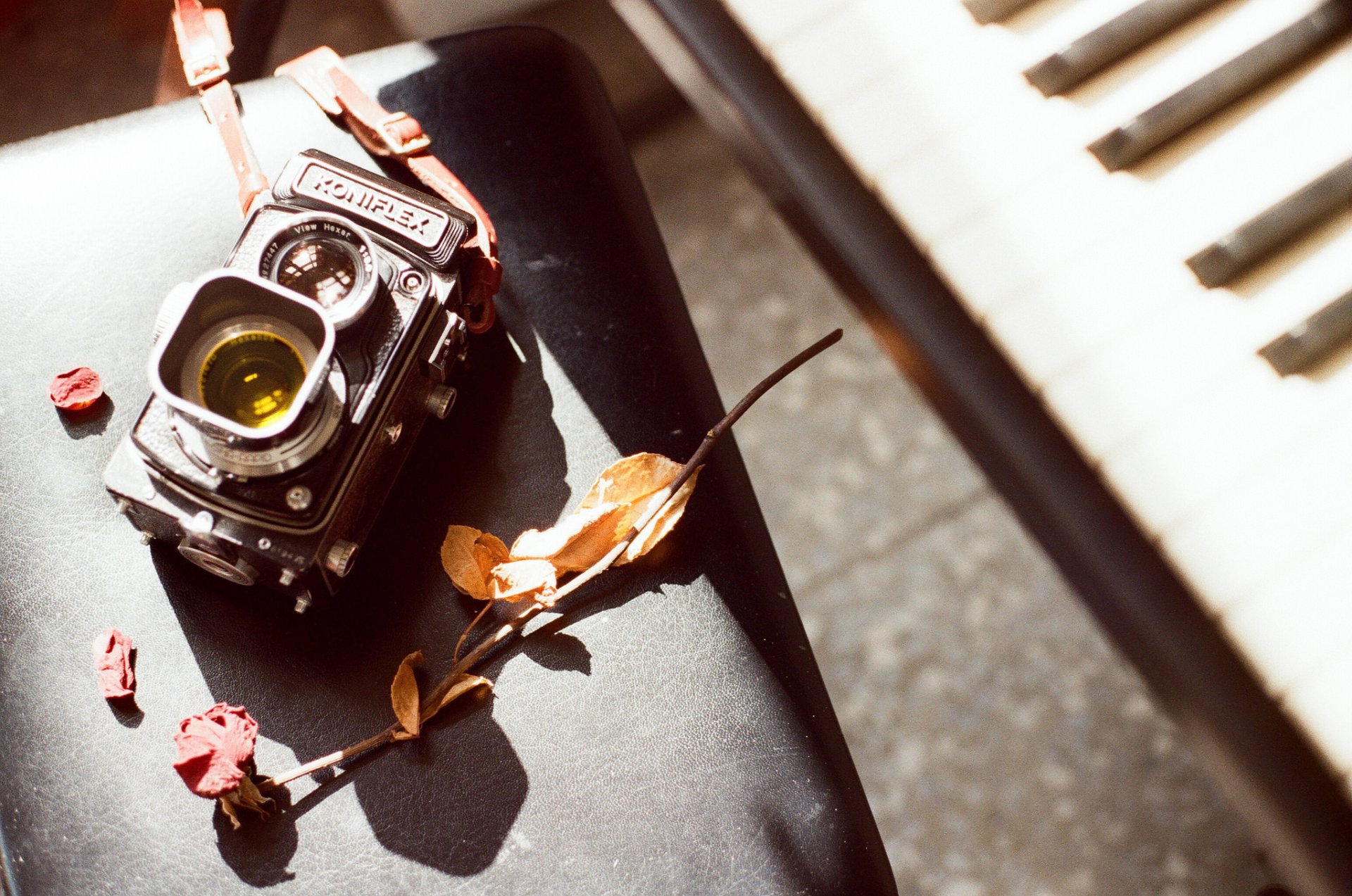HD desktop wallpaper featuring a vintage man-made camera resting on a black surface beside a piano keyboard, accented with scattered dried flowers.