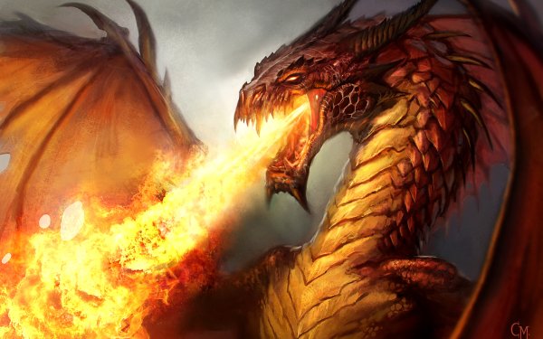 Fantasy Dragon Fire HD Wallpaper | Background Image