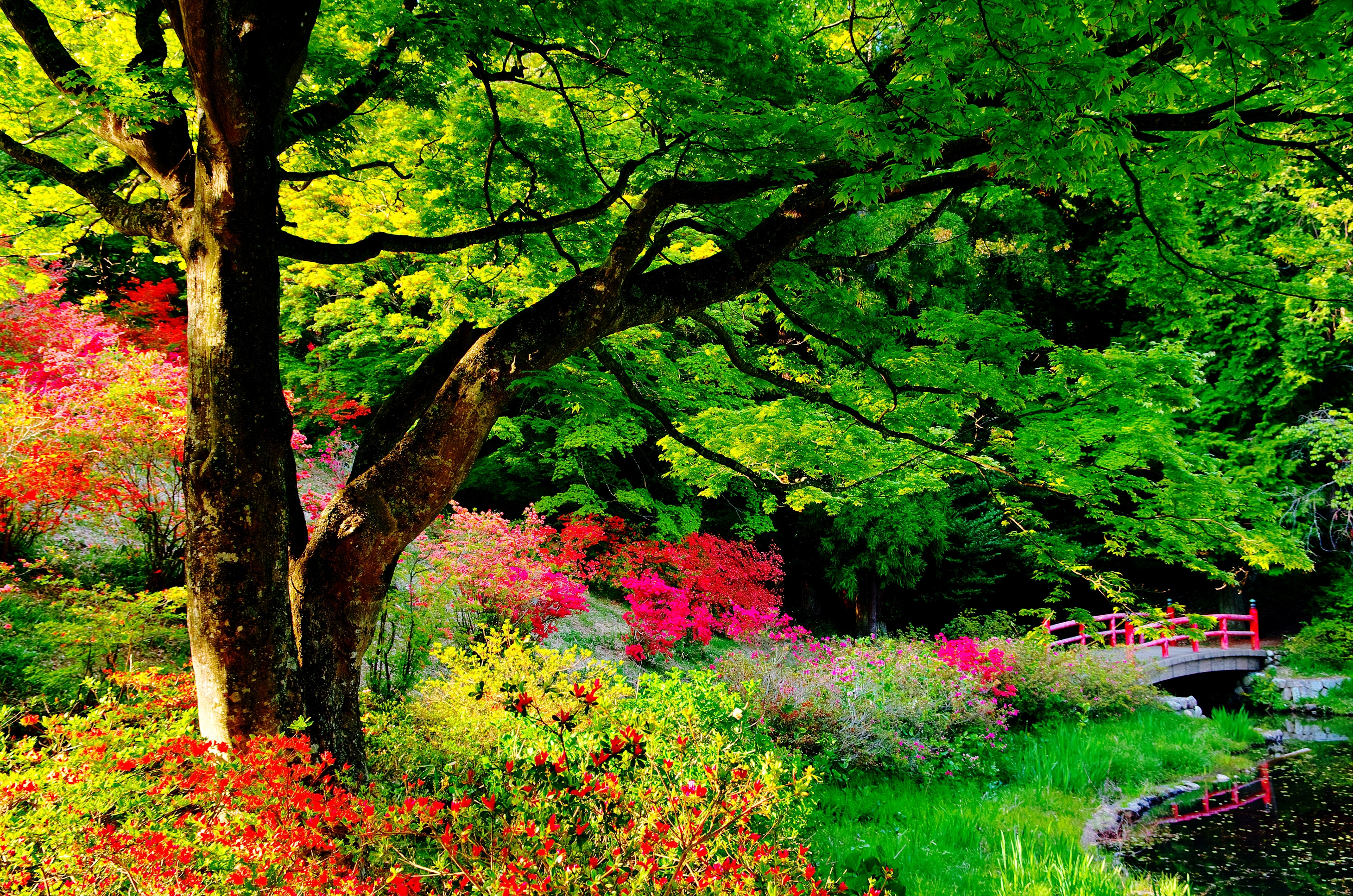 zen garden desktop wallpaper