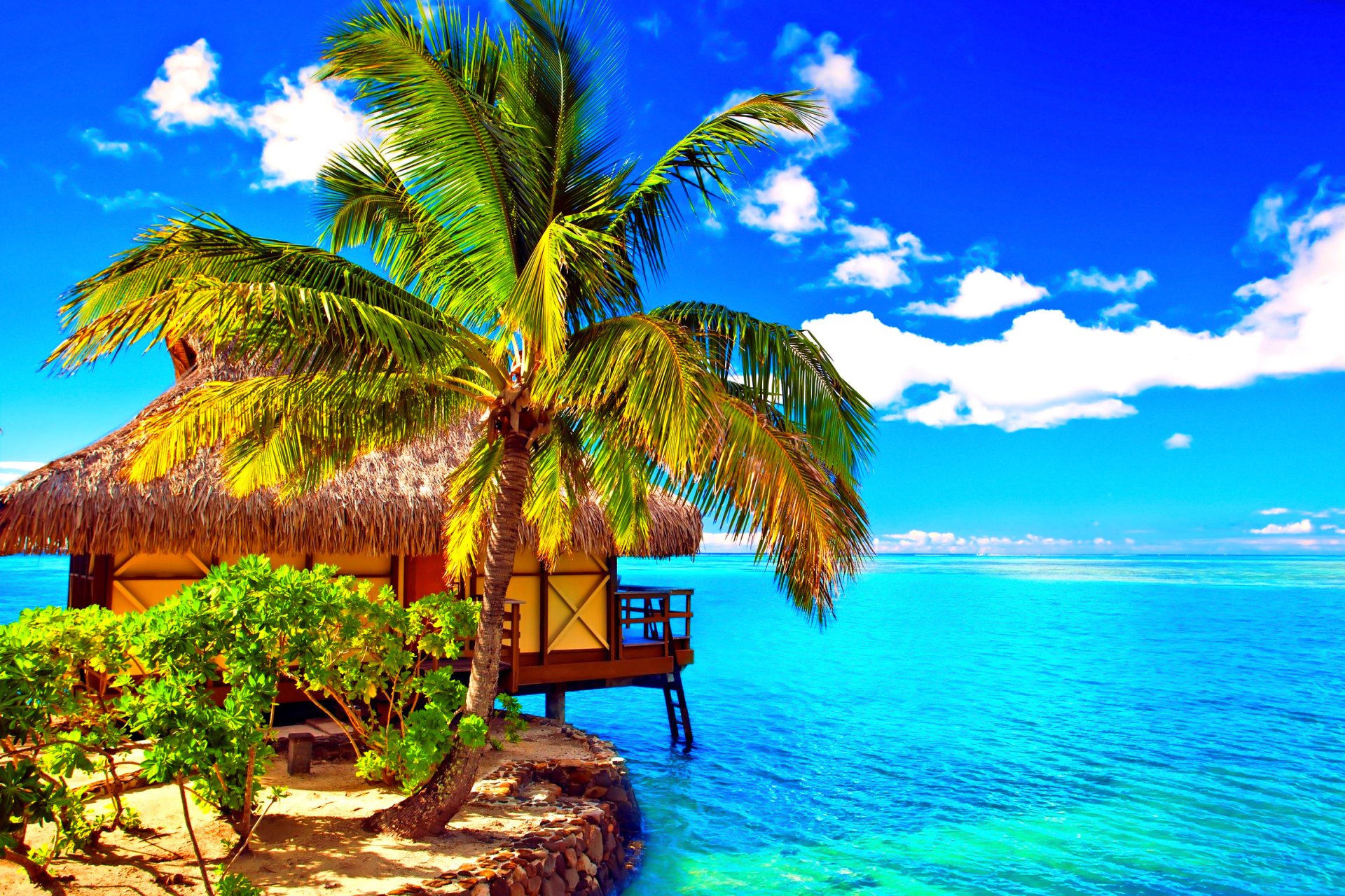 Tropical HD desktop wallpaper featuring a palm tree beside a man-made bungalow hut on a beach overlooking a vibrant blue ocean under a bright sky.