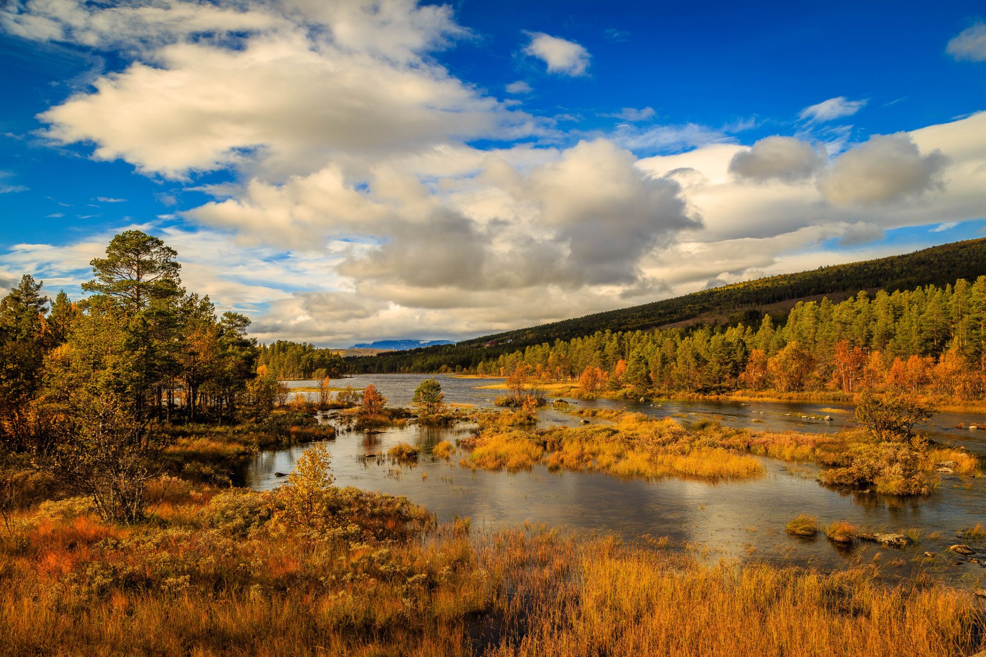 HD desktop wallpaper showcasing a serene Norwegian landscape with autumn trees, a calm river, and dynamic clouds under a blue sky in fall.