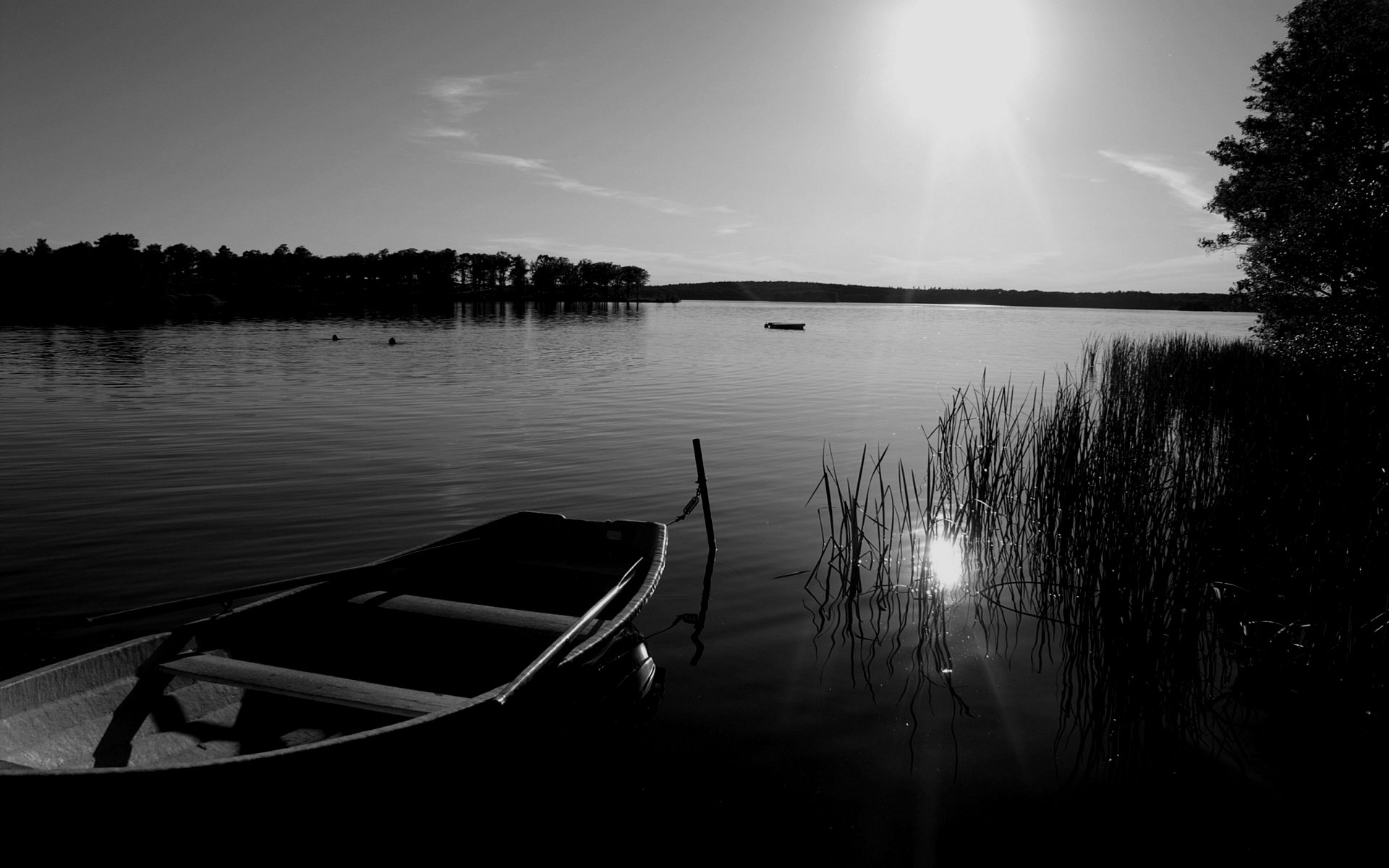 A serene black and white image of a boat resting at the water's edge, reflecting the sunlight on a calm lake, surrounded by trees and reeds, serving as an HD desktop wallpaper.