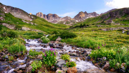4K Ultra HD landscape of a Colorado mountain valley with a flowing stream, wildflowers, grass, and stones under a bright blue sky.