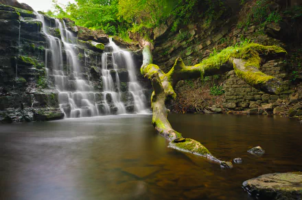 log lake nature waterfall HD Desktop Wallpaper | Background Image