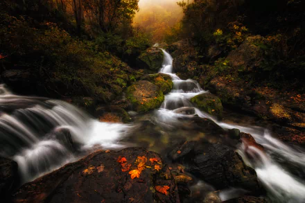 2K Quad HD PC desktop wallpaper: autumn nature scene with a foamy mountain stream cascading over mossy rocks and scattered fall leaves on wet stones.