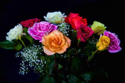 Close-up HD desktop wallpaper of a colorful bouquet featuring roses and baby's breath flowers against a dark background, showcasing vibrant natural beauty.