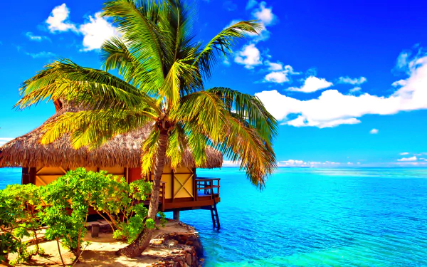 Tropical HD desktop wallpaper featuring a palm tree beside a man-made bungalow hut on a beach overlooking a vibrant blue ocean under a bright sky.