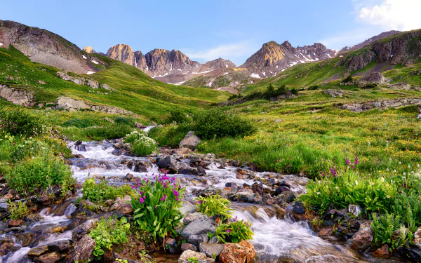 4K Ultra HD landscape of a Colorado mountain valley with a flowing stream, wildflowers, grass, and stones under a bright blue sky.