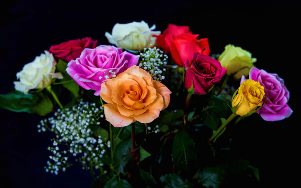 Close-up HD desktop wallpaper of a colorful bouquet featuring roses and baby's breath flowers against a dark background, showcasing vibrant natural beauty.