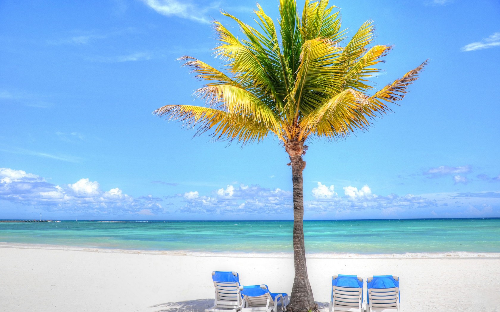Download Horizon Nature Sky Ocean Blue Chair Palm Tree Tropics Tropical ...
