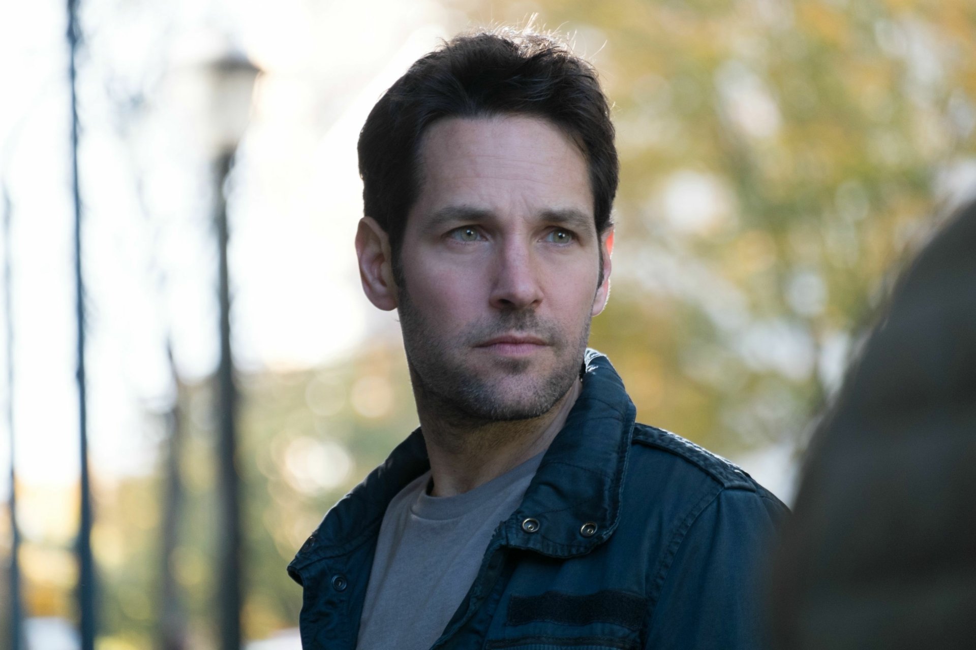 Celebrity Paul Rudd HD Wallpaper