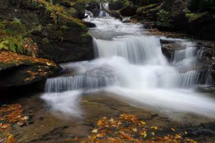 A tranquil HD wallpaper featuring a serene waterfall surrounded by lush greenery and fallen leaves, perfectly capturing the beauty of nature.
