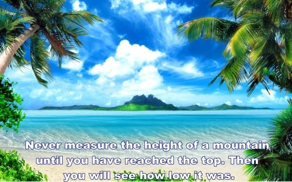 Misc Motivational Quote Tropical Palm Tree Island Statement HD Wallpaper | Background Image