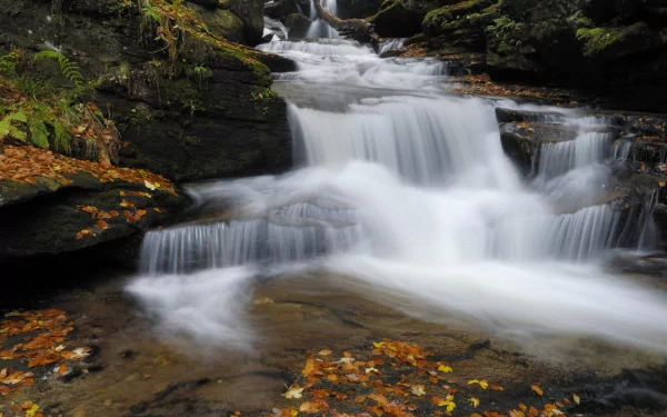 A tranquil HD wallpaper featuring a serene waterfall surrounded by lush greenery and fallen leaves, perfectly capturing the beauty of nature.
