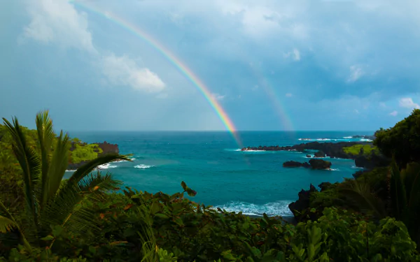 4K Ultra HD wallpaper featuring a vibrant tropical Hawaiian ocean horizon with palm trees, shrubs, and a double rainbow arching over the serene sea.