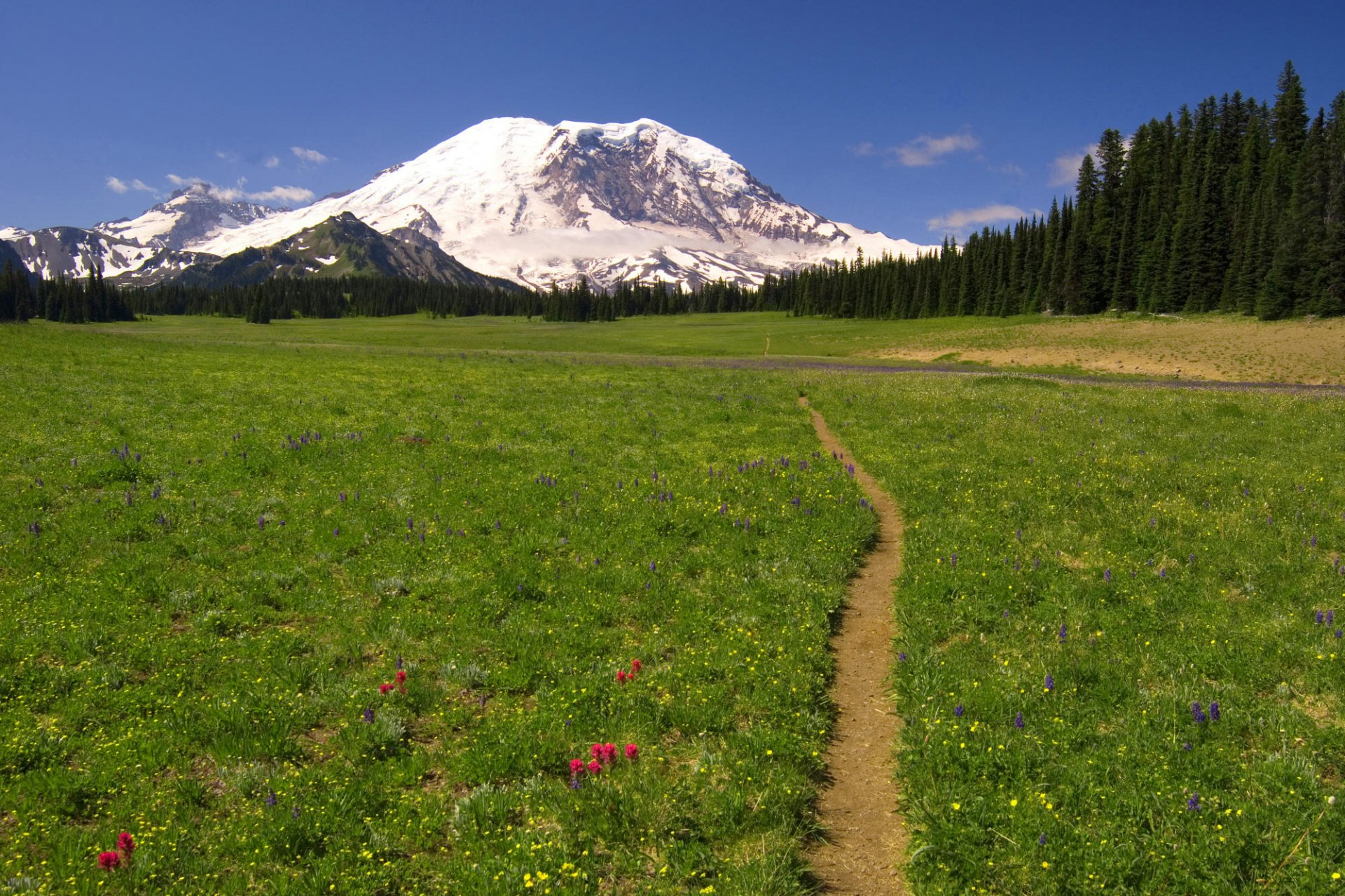 HD desktop wallpaper of a lush green field with wildflowers, a narrow dirt path, and a snow-capped mountain under a clear blue sky in a serene natural setting.