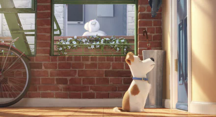 Max from *The Secret Life of Pets* is seen sitting inside a sunny apartment, gazing toward a humorous moment outside with a fluffy white character, creating a vibrant HD wallpaper background.