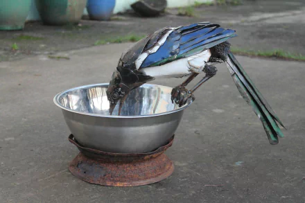  scrap metal art by John Brown
