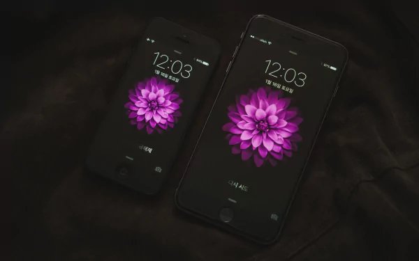 HD desktop wallpaper featuring two Apple Inc. iPhones displaying a vibrant purple flower on their screens, highlighting sleek phone technology.