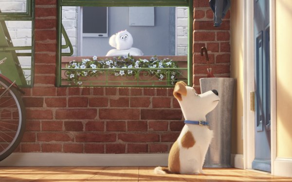 Movie The Secret Life of Pets Max HD Wallpaper | Background Image
