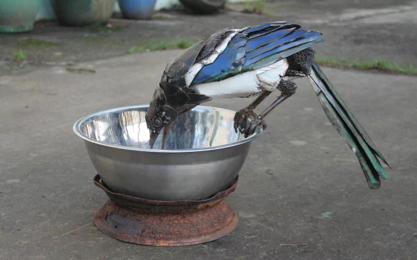 Scrap-metal bird sculpture drinking from a metal bowl on concrete — man-made artwork, HD PC desktop wallpaper and background.