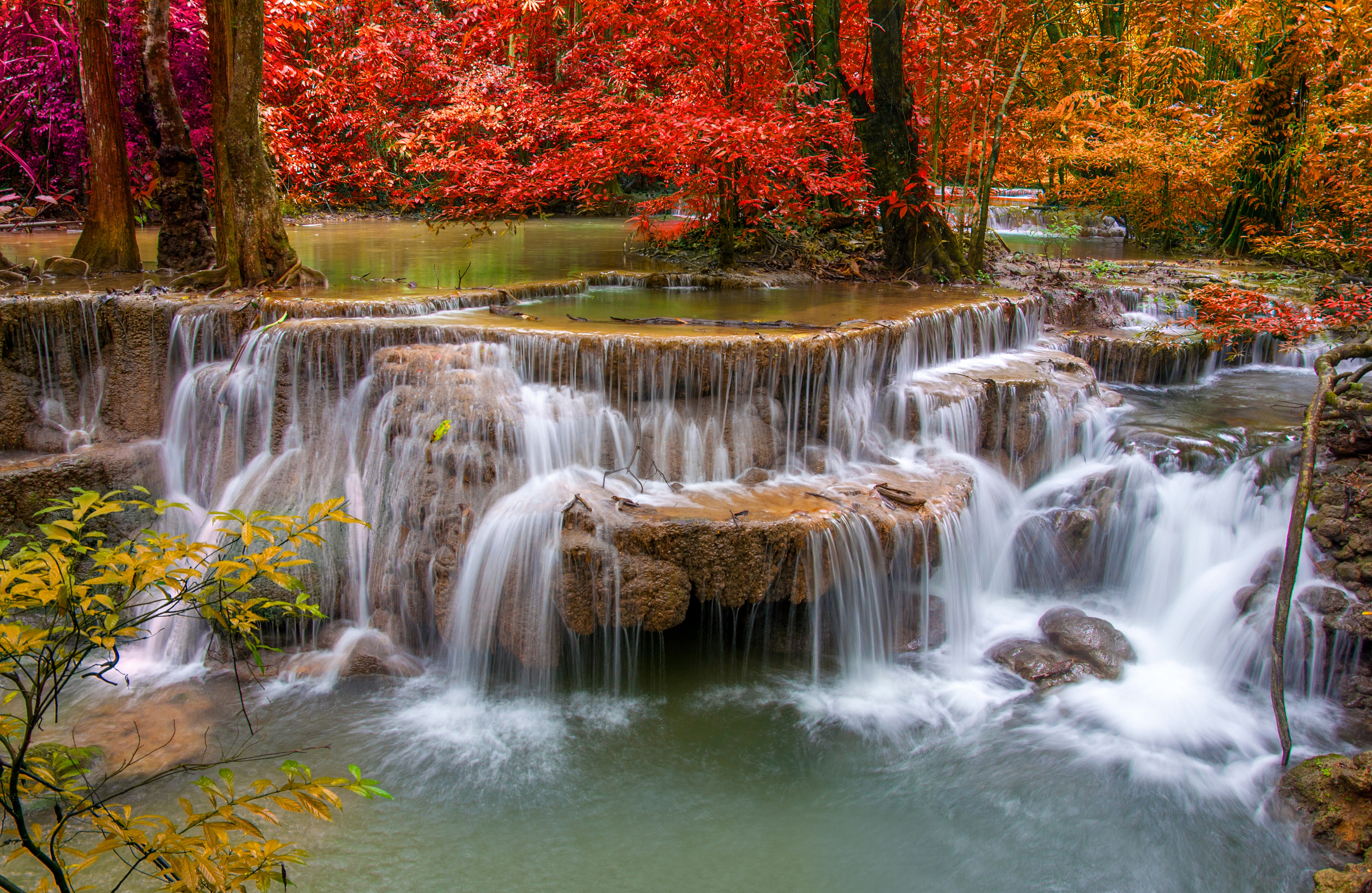 Download Nature Fall Tree Forest Waterfall 4k Ultra HD Wallpaper