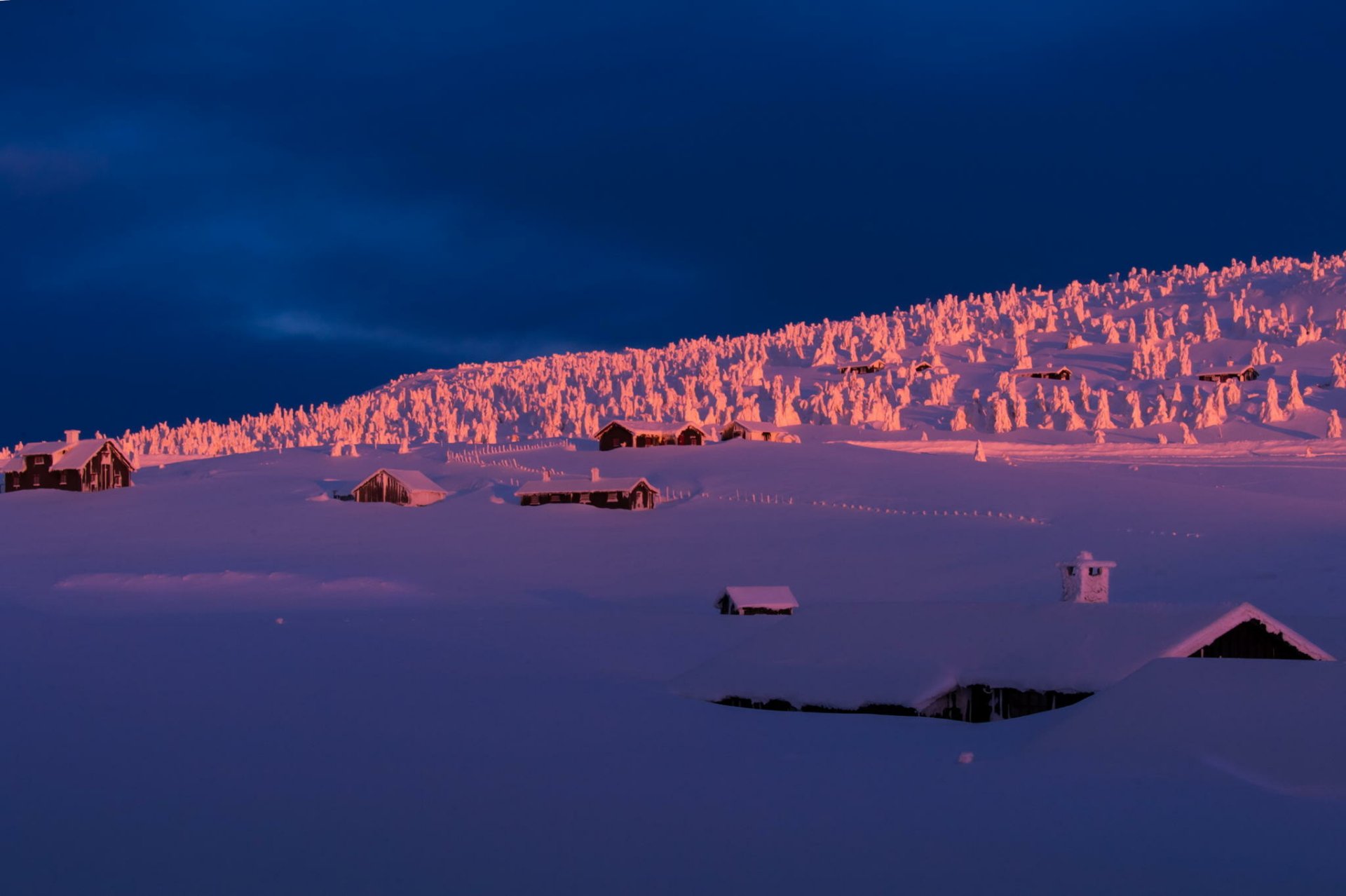 Snow-covered houses bathed in warm light against a deep blue winter sky, captured in HD photography for a striking desktop wallpaper background.