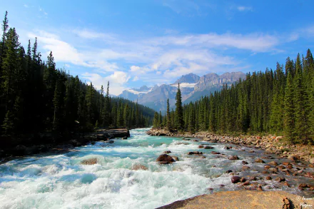 A serene landscape of Banff National Park, Canada, featuring a rushing river flanked by tall pine trees under a bright sky, capturing the essence of natural beauty in 4K Ultra HD.