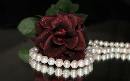  Red Rose and Pearls