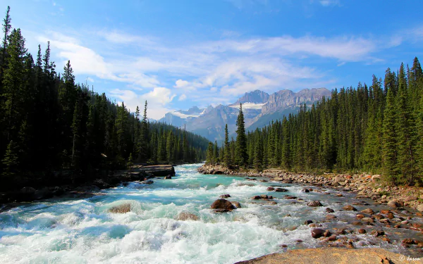 A serene landscape of Banff National Park, Canada, featuring a rushing river flanked by tall pine trees under a bright sky, capturing the essence of natural beauty in 4K Ultra HD.