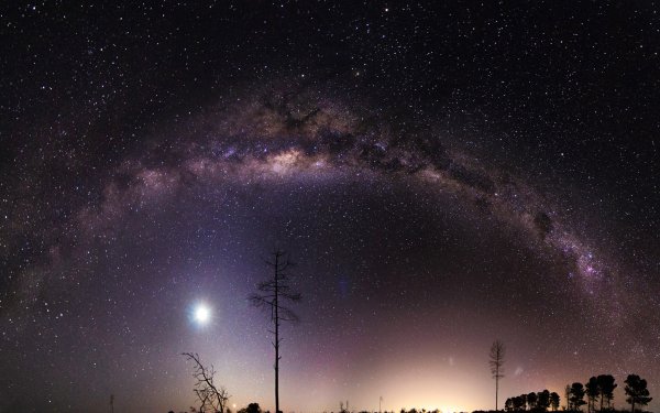 Sci Fi Milky Way Night Stars Space Tree Starry Sky HD Wallpaper | Background Image