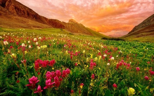 Earth Landscape Mountain Field Flower Sunset Cloud HD Wallpaper | Background Image