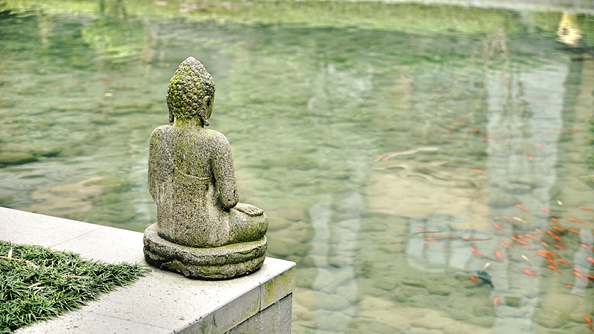 A buddha statue near a fish pond by ST.Woody