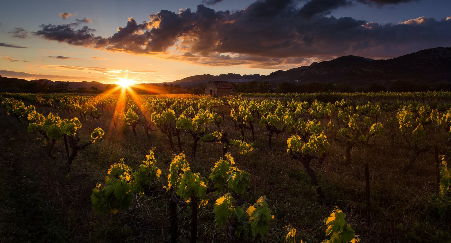 Download Landscape Sunbeam Sunset Cloud Mountain Man Made Vineyard HD ...