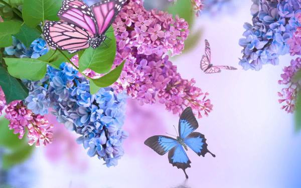 A vibrant spring scene featuring pink and blue flowers, with butterflies gracefully flitting among lilac blooms, creating a lively touch of nature in this 4K Ultra HD wallpaper.